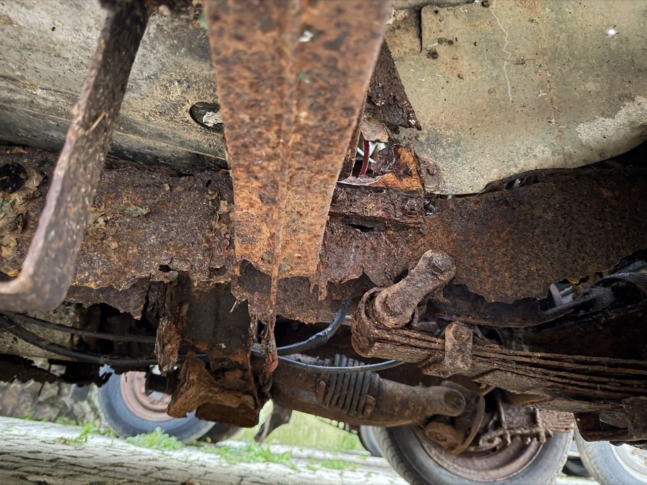 IMG_7484 – grande.jpeg