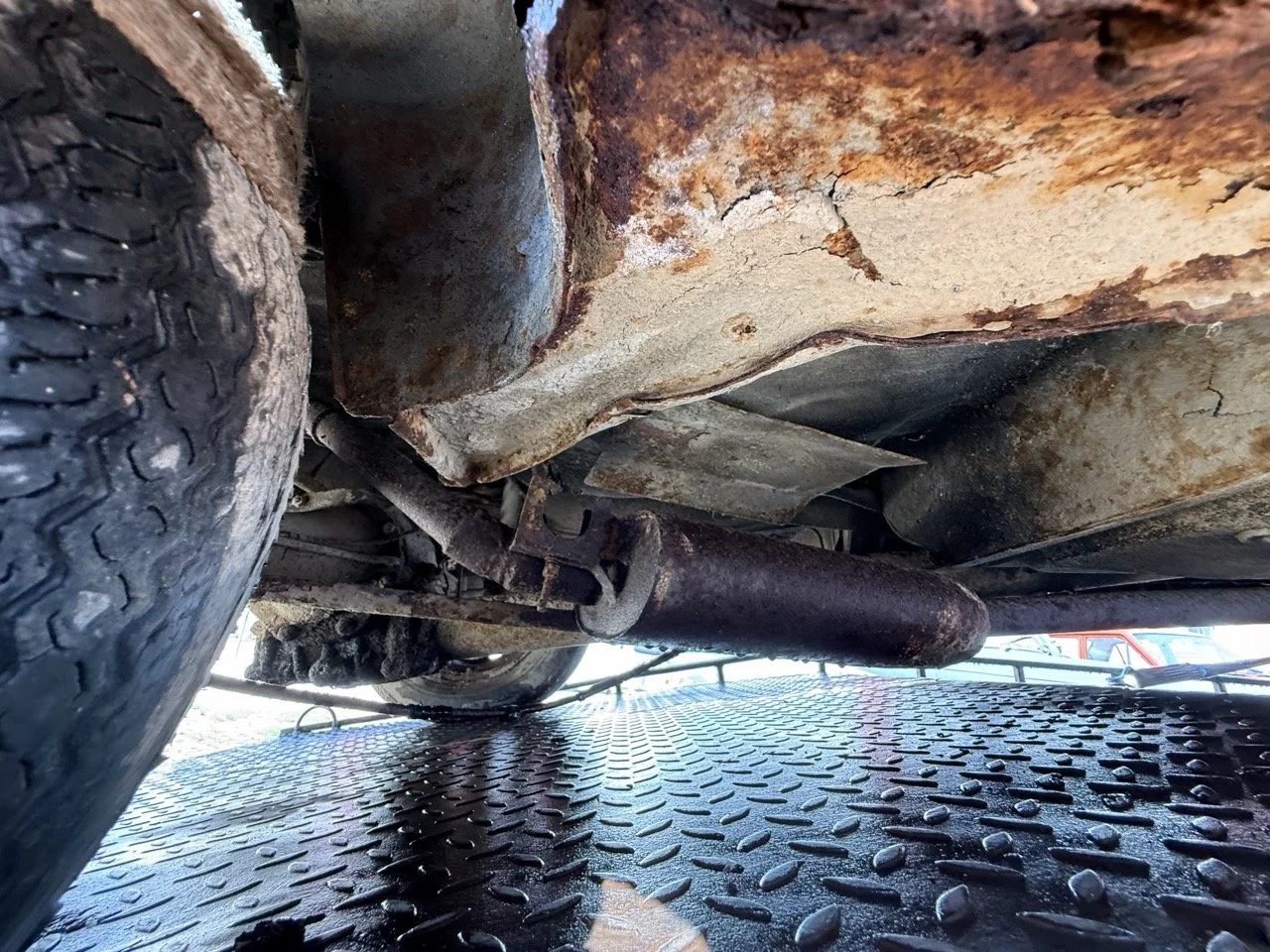 IMG_3478 – grande.jpeg