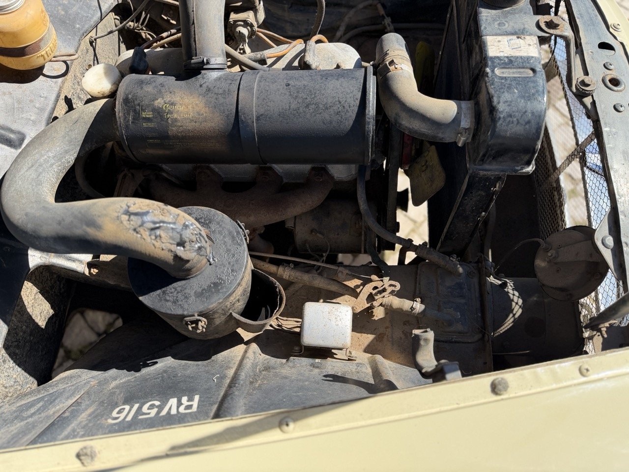 IMG_6667 – grande.jpeg