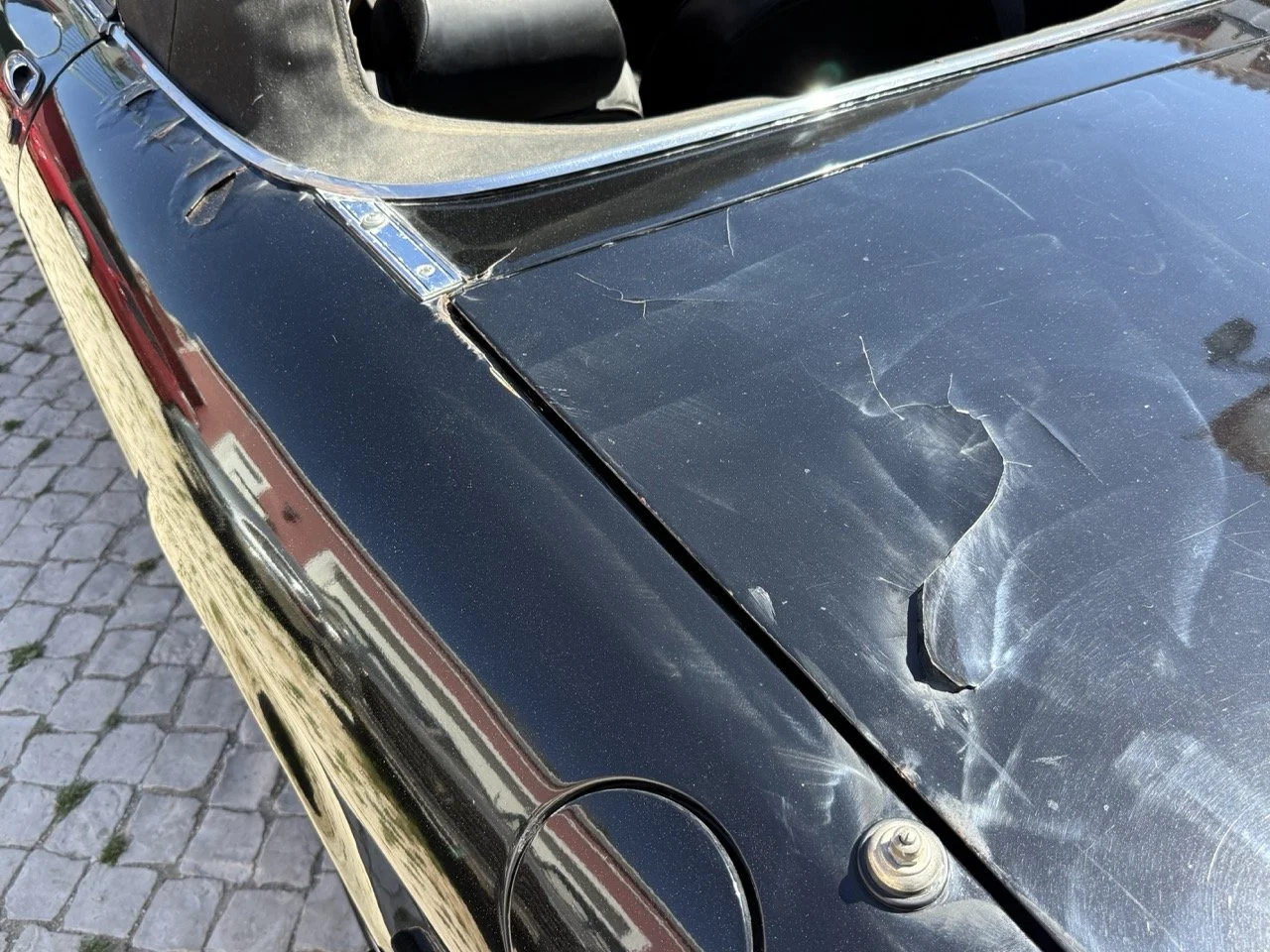 IMG_2192 – grande.jpeg