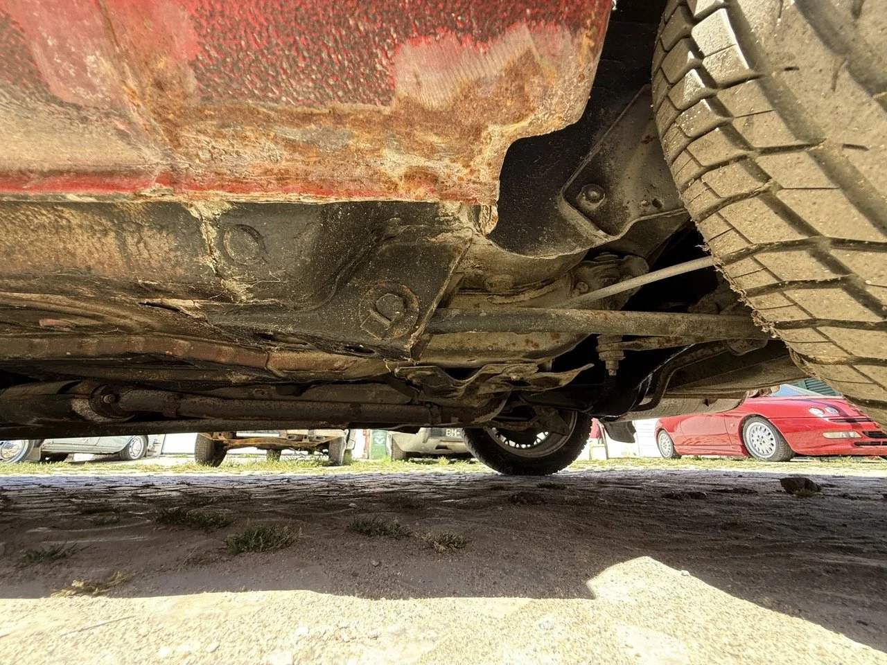 IMG_2101 – grande.jpeg