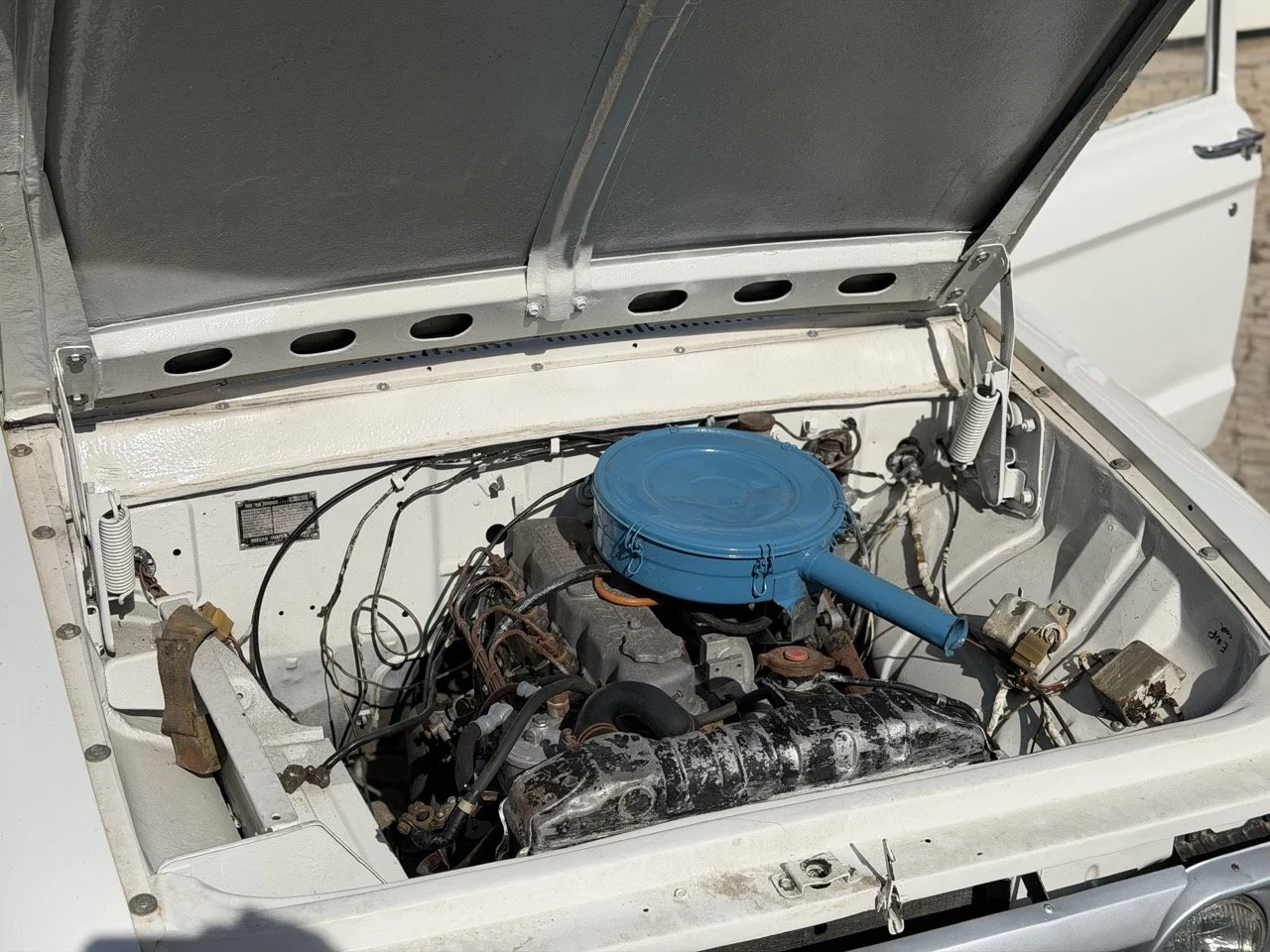 IMG_8608 2 – grande.jpeg