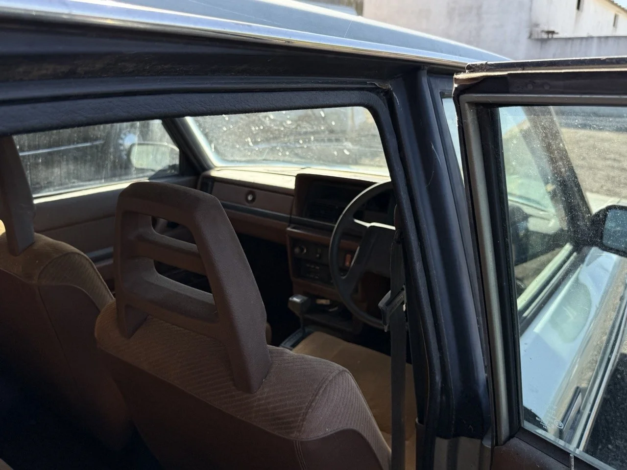 IMG_1208 – grande.jpeg