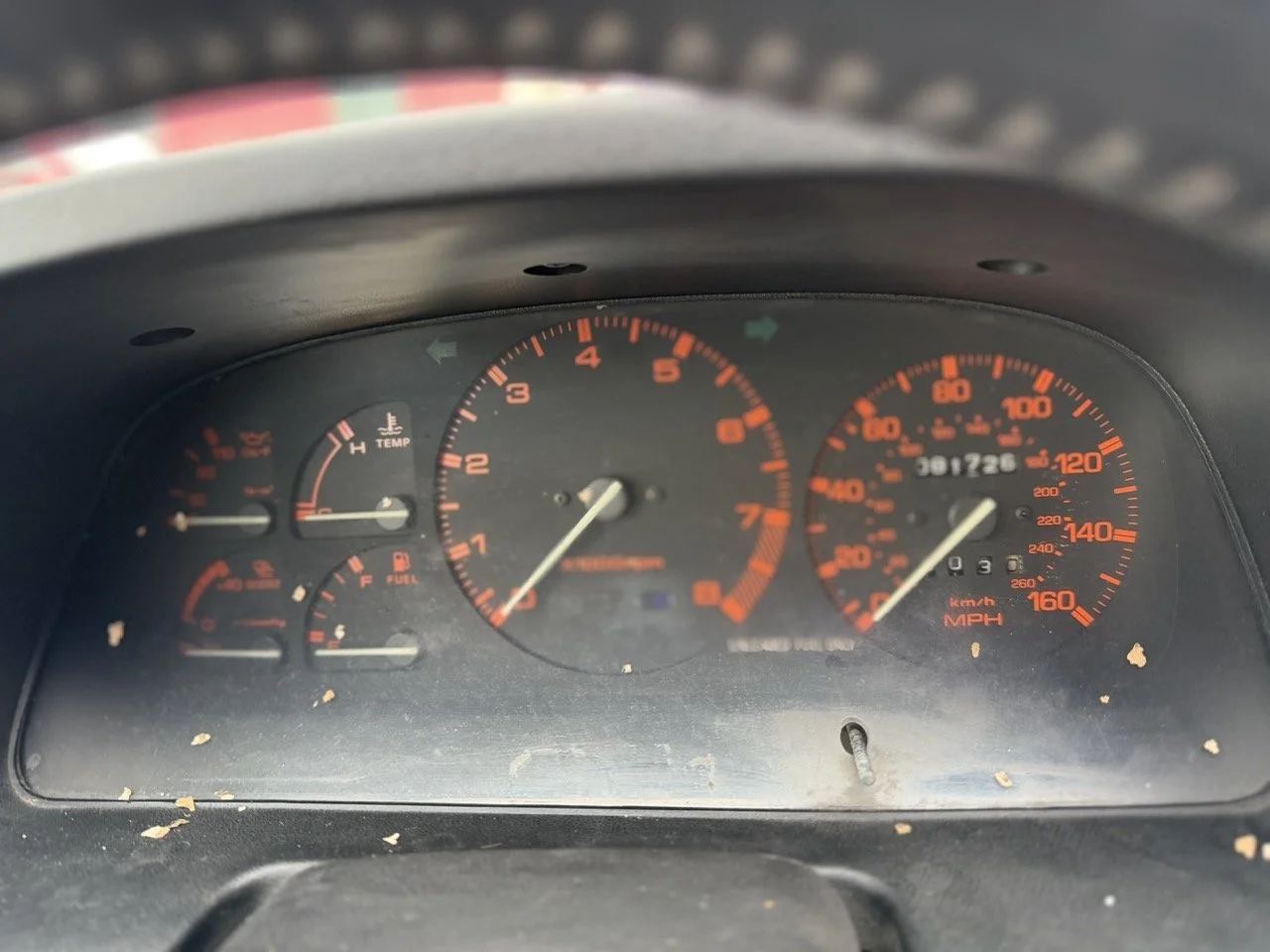 IMG_9730 – grande.jpeg