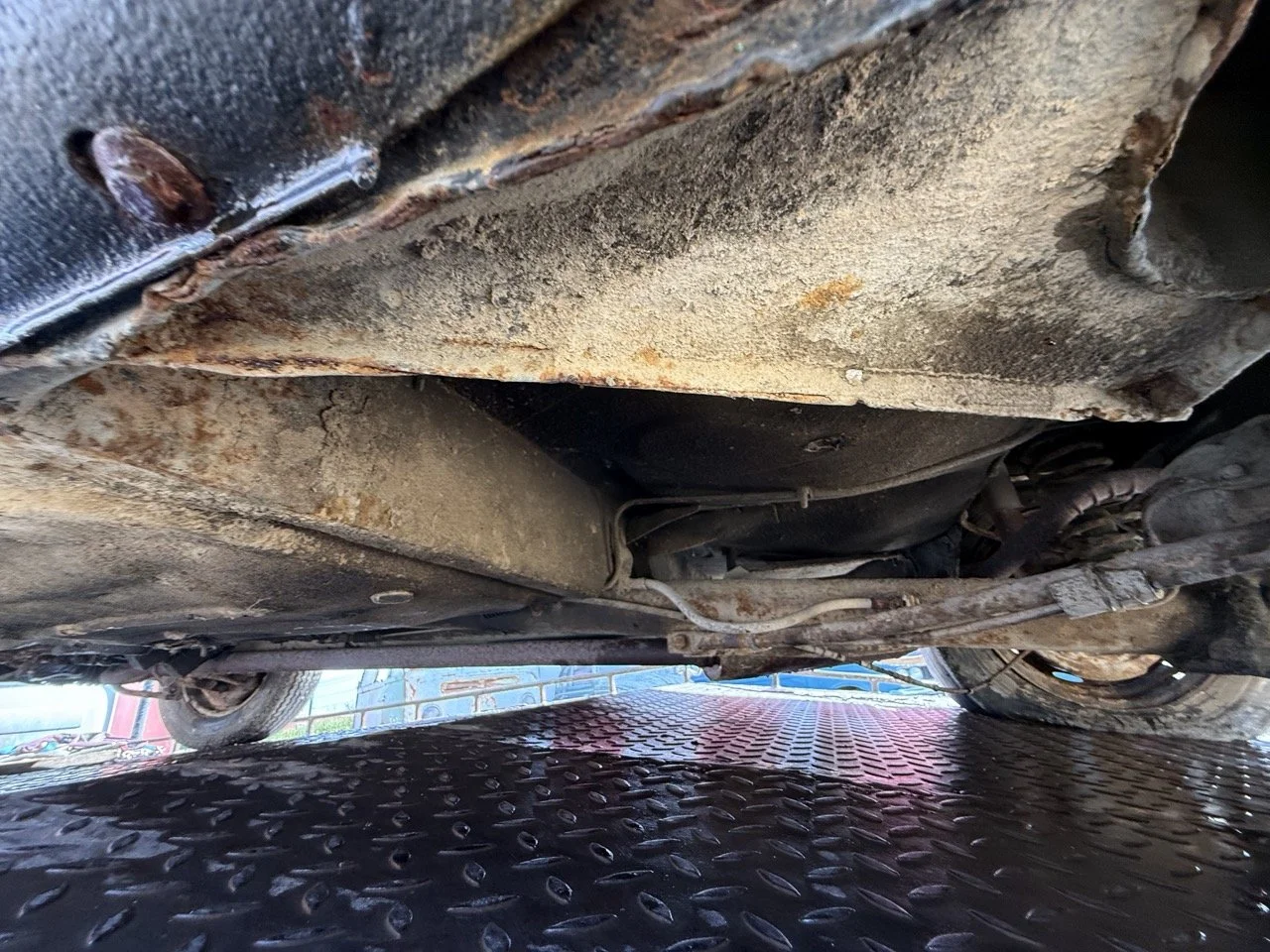 IMG_3483 – grande.jpeg