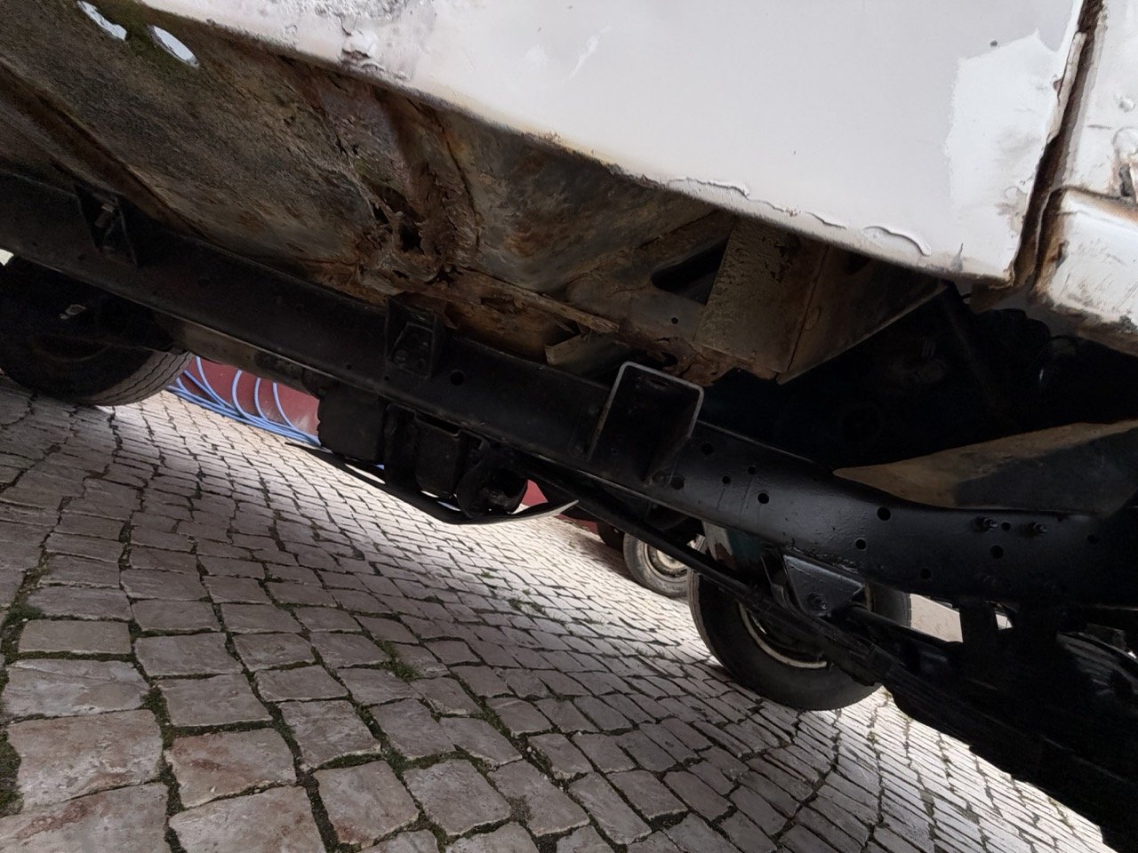 IMG_3931 – grande.jpeg