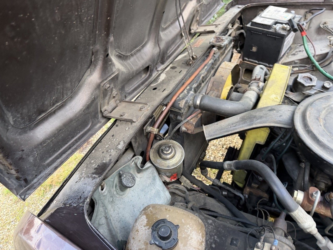 IMG_5280 – grande.jpeg