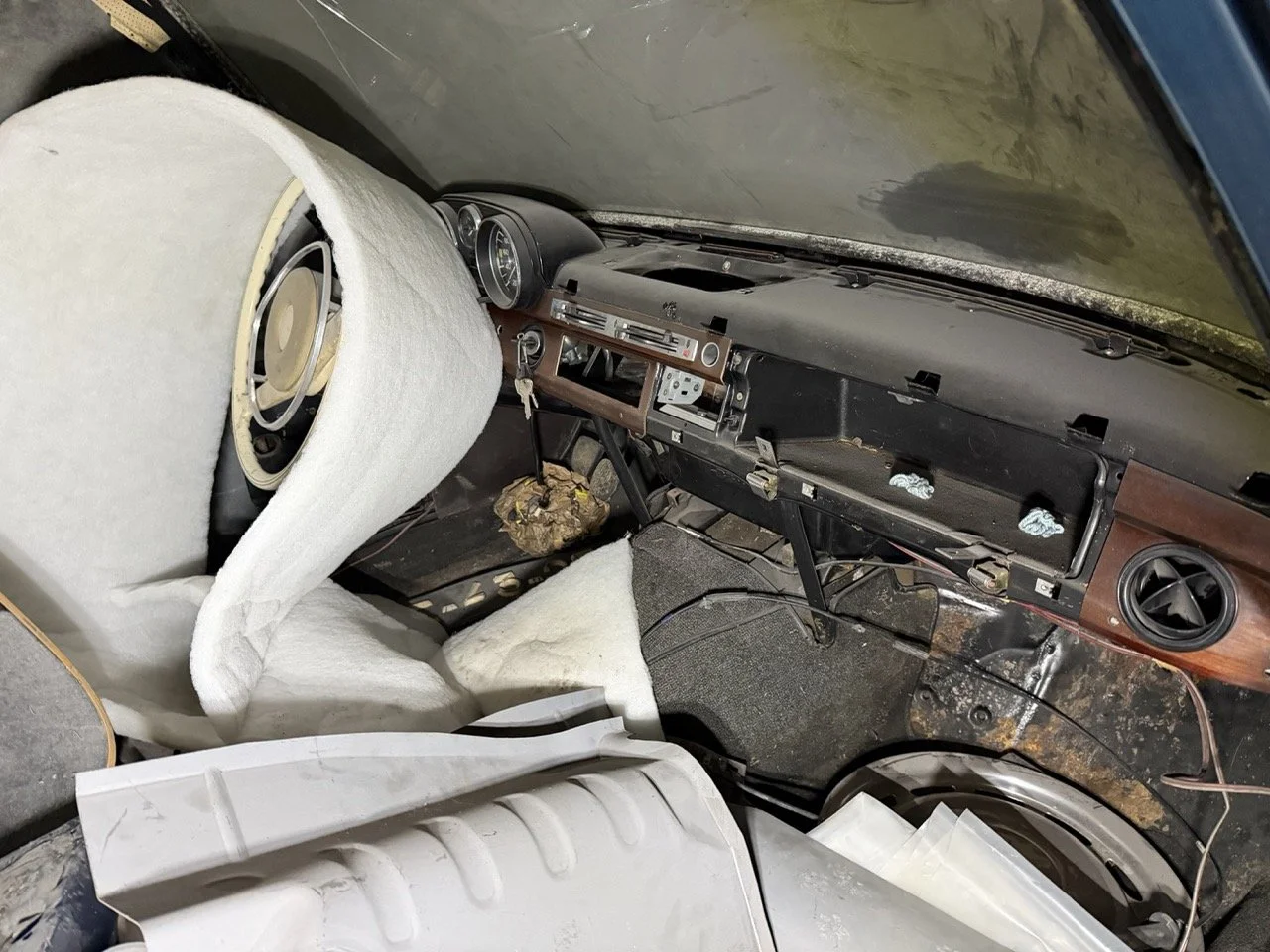 IMG_4258 – grande.jpeg