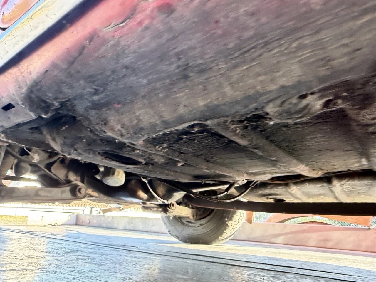 IMG_9078 – grande.jpeg