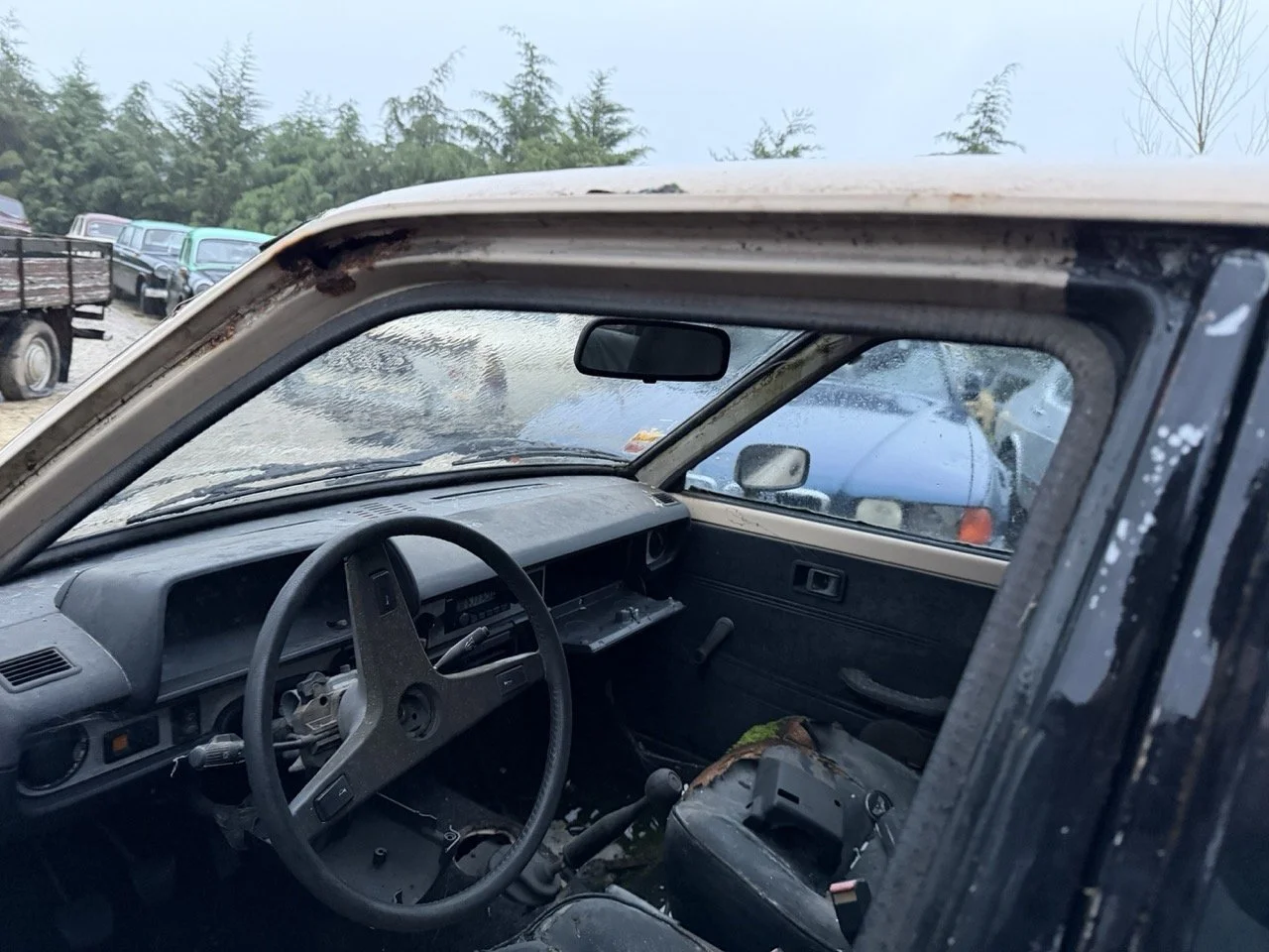 IMG_0235 – grande.jpeg