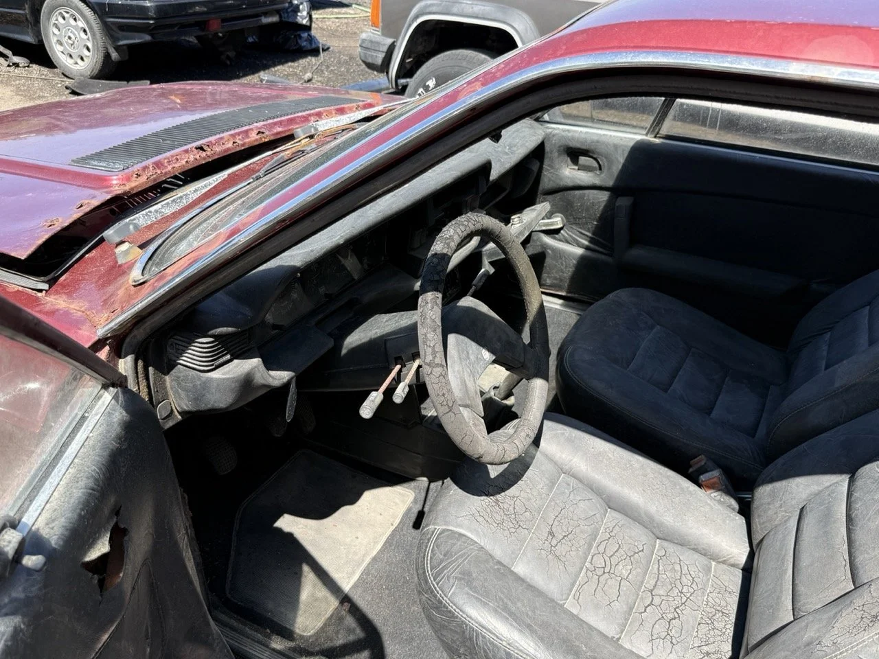 IMG_0932 – grande.jpeg