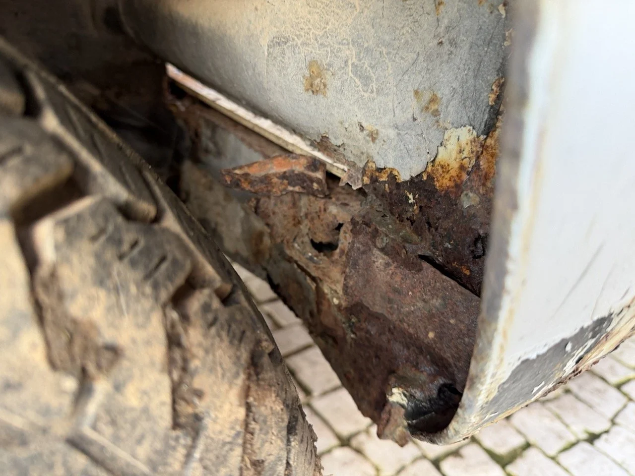 IMG_0833 – grande.jpeg