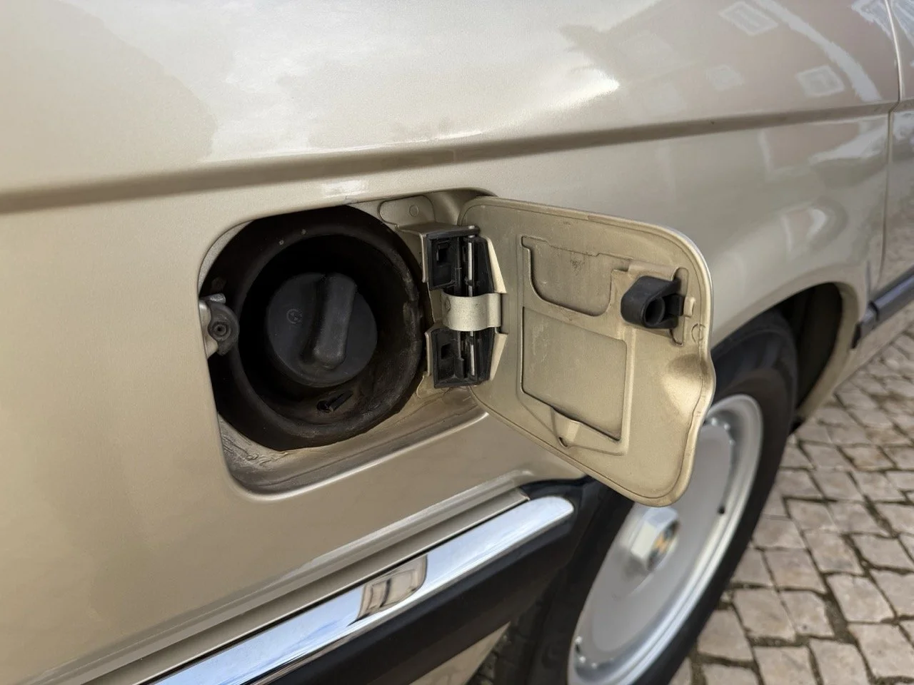 IMG_7006 2 – grande.jpeg