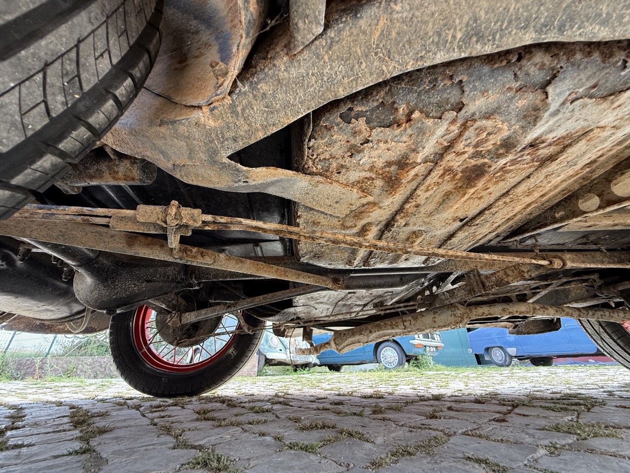 IMG_3742 – grande.jpeg