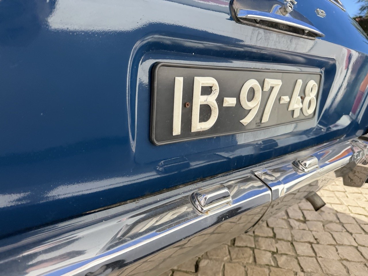 IMG_1880 – grande.jpeg