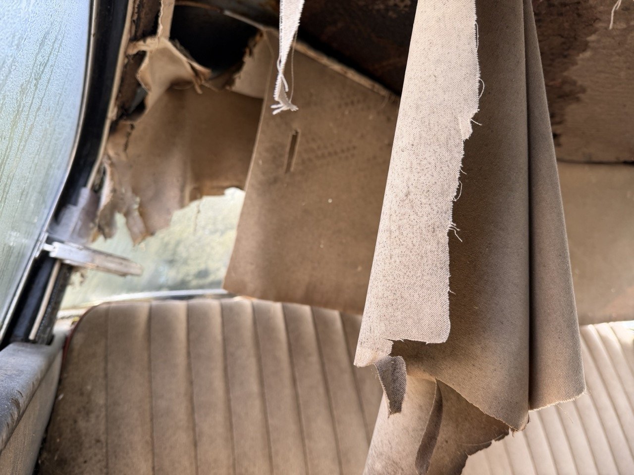 IMG_5065 – grande.jpeg