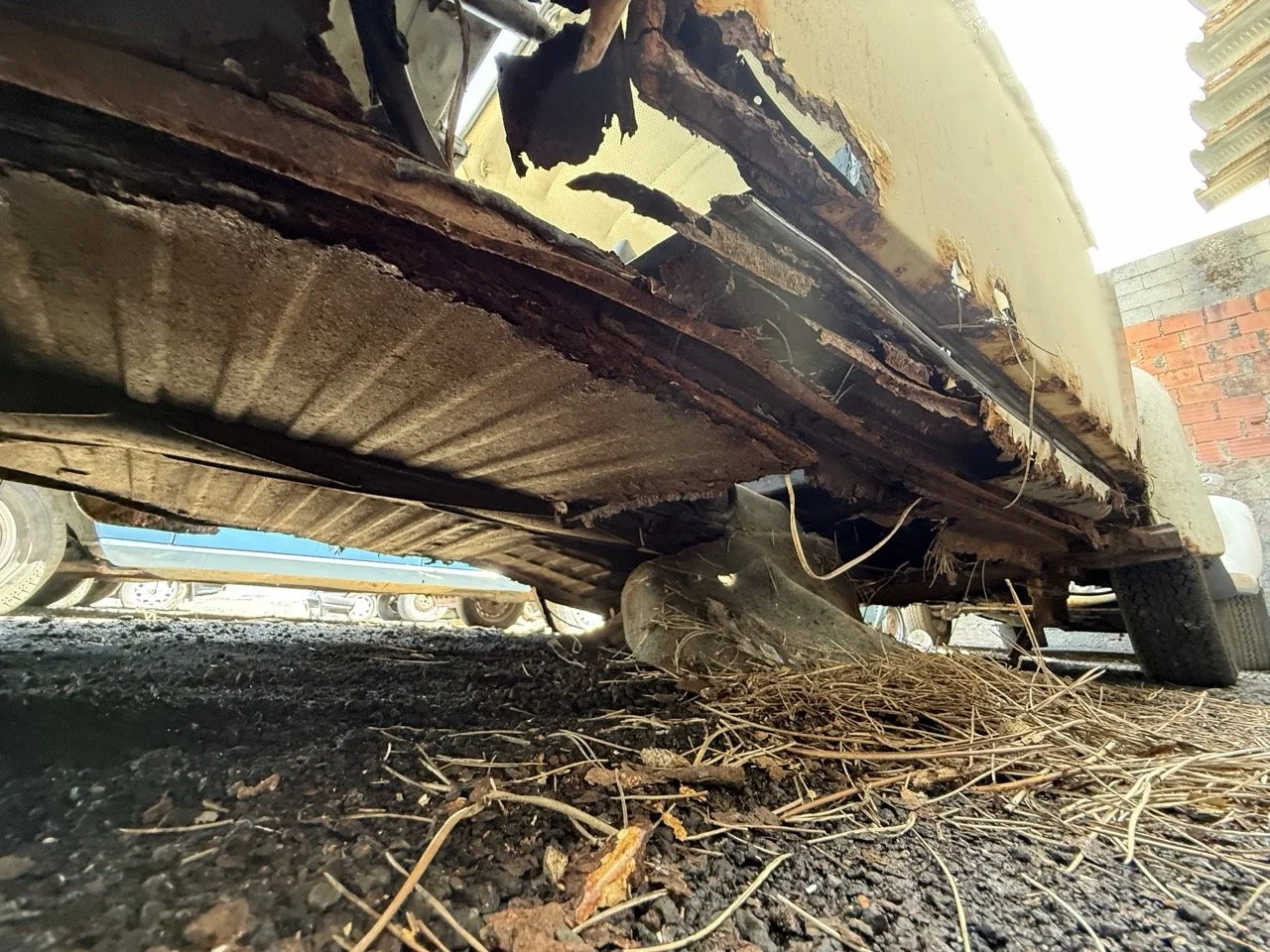 IMG_0646 – grande.jpeg