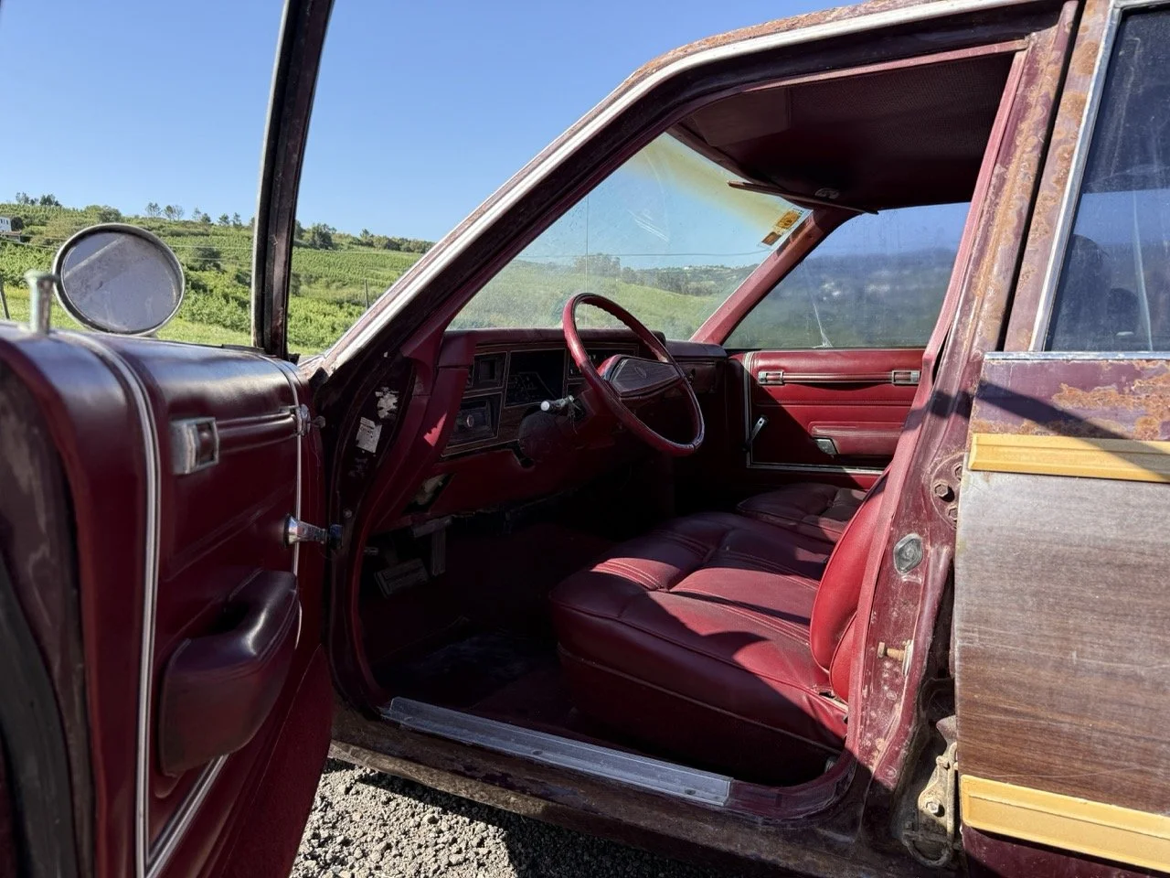 IMG_3011 – grande.jpeg