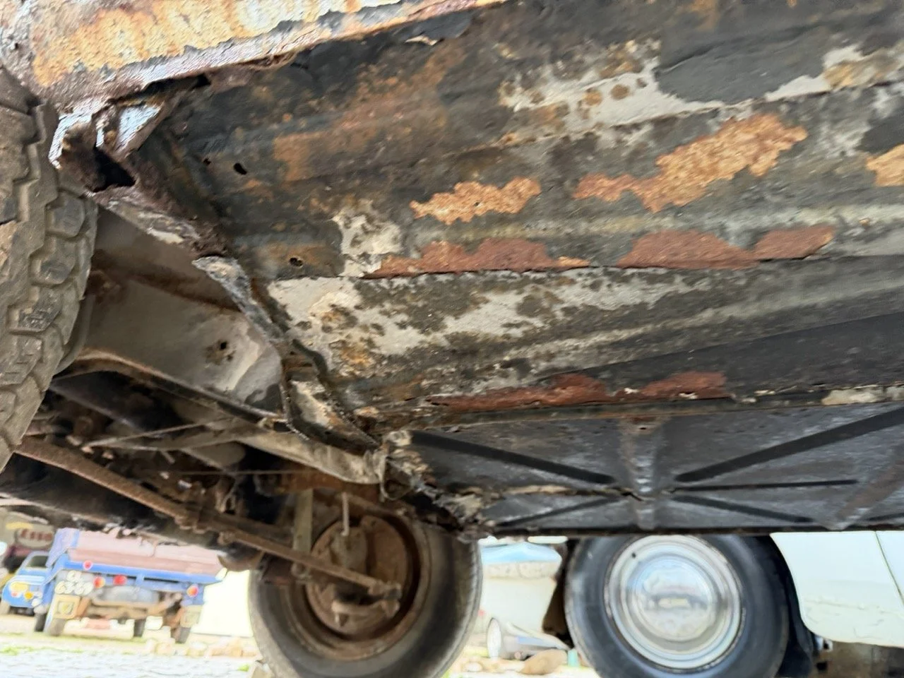 IMG_0842 – grande.jpeg