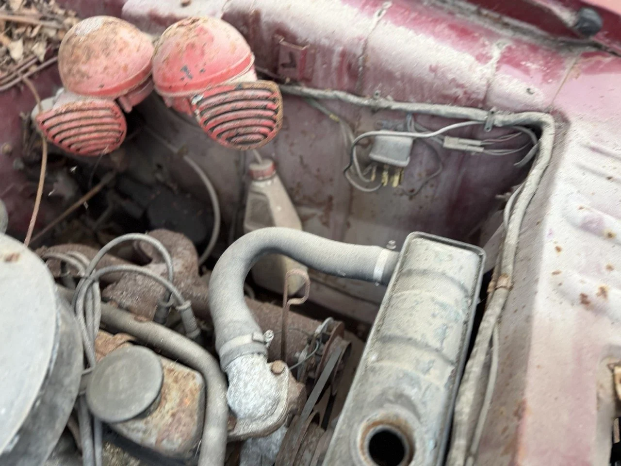 IMG_8962 – grande.jpeg