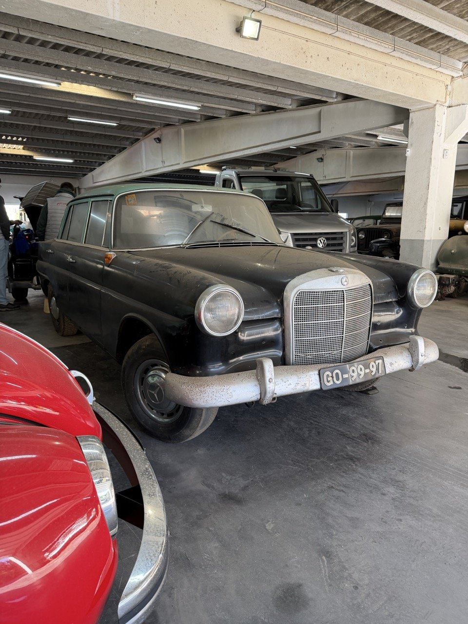 IMG_2032 2 – grande.jpeg