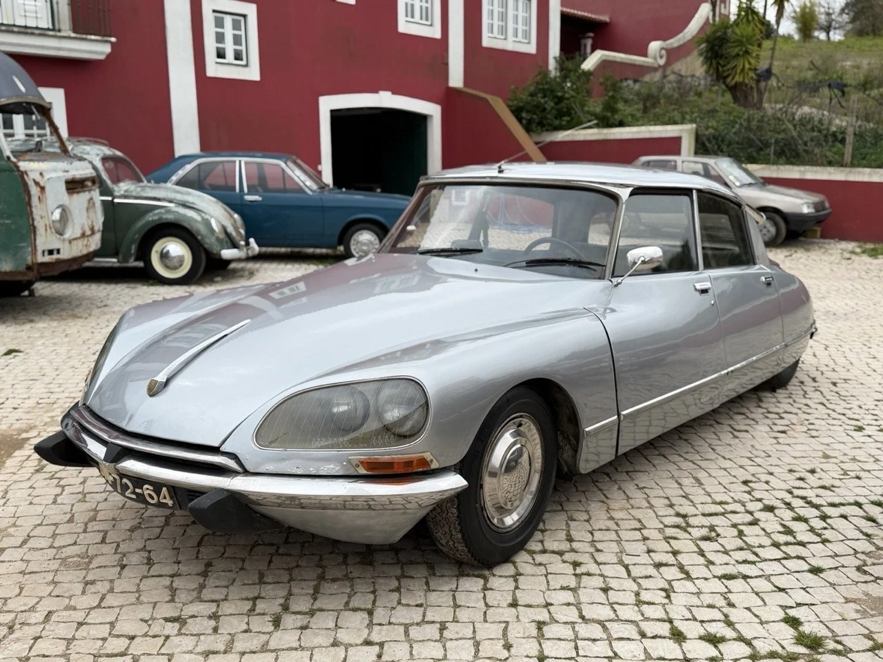 IMG_3665 – grande.jpeg