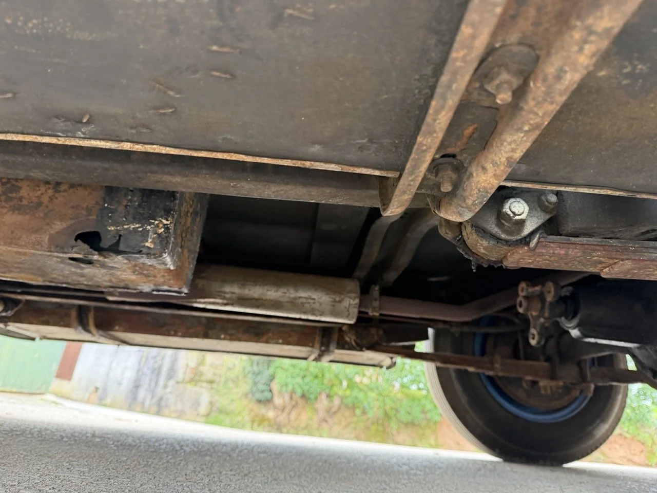 IMG_1565 – grande.jpeg