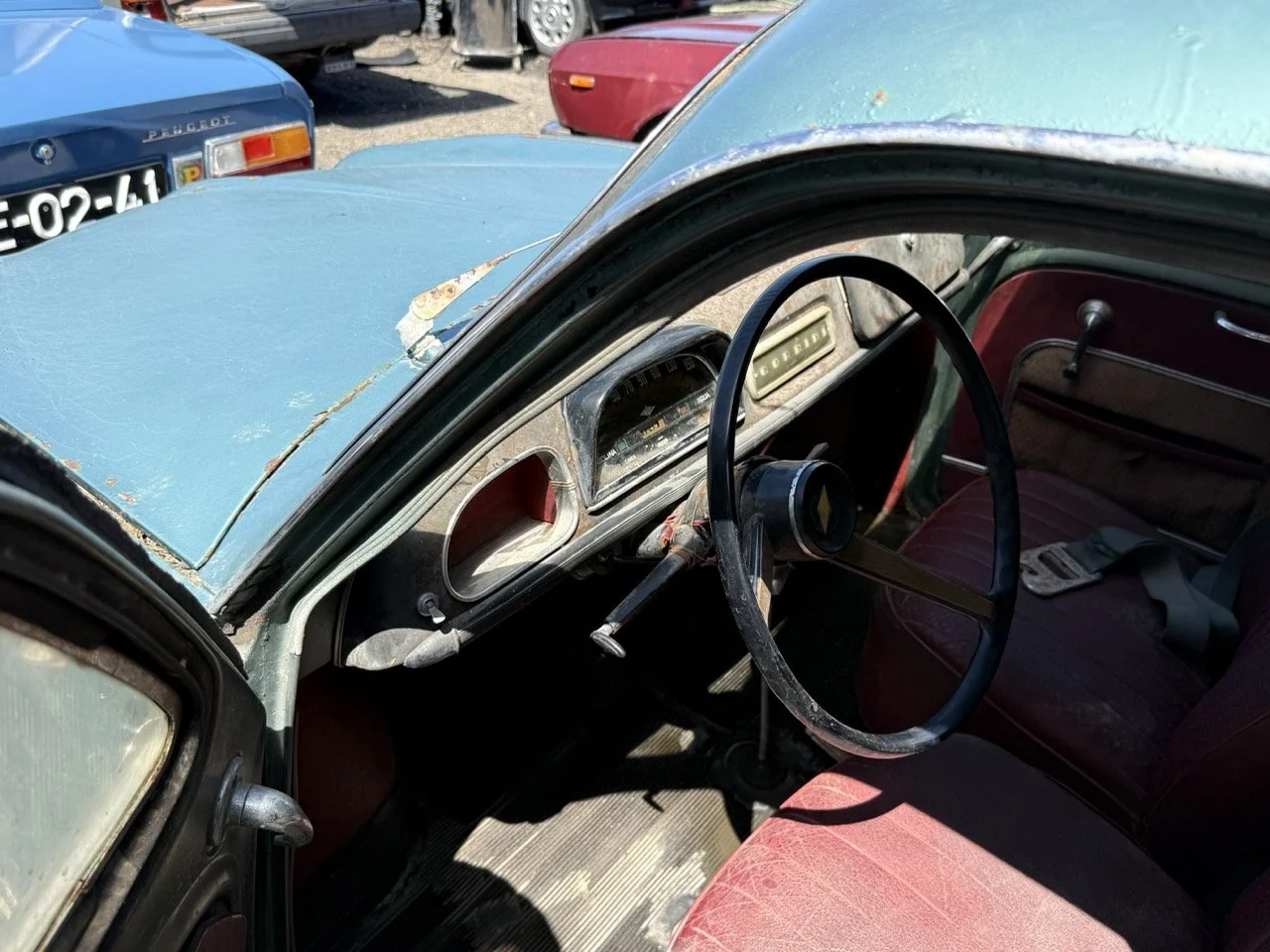 IMG_0847 – grande.jpeg