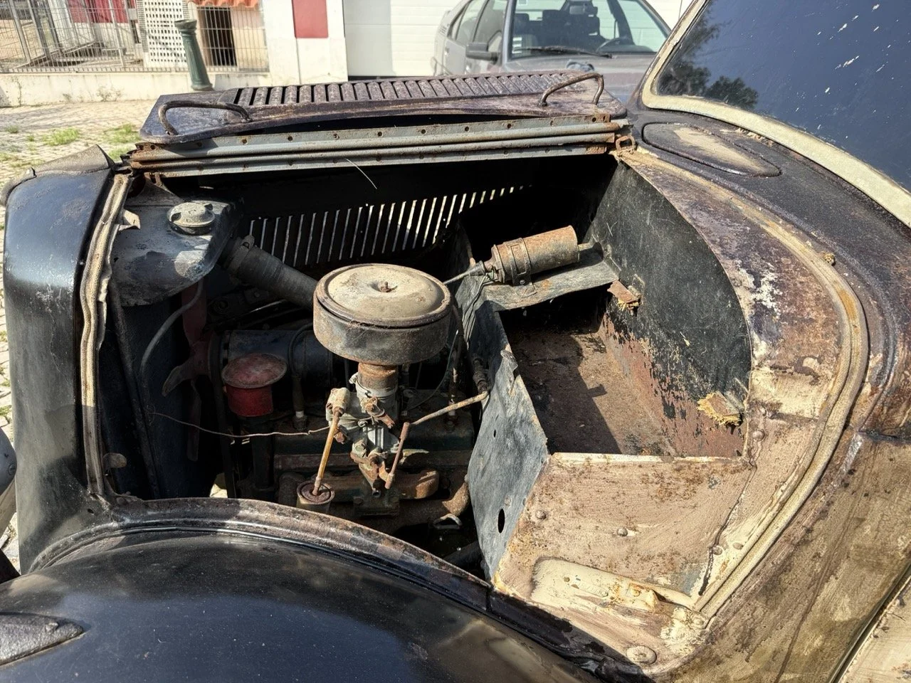 IMG_3697 – grande.jpeg