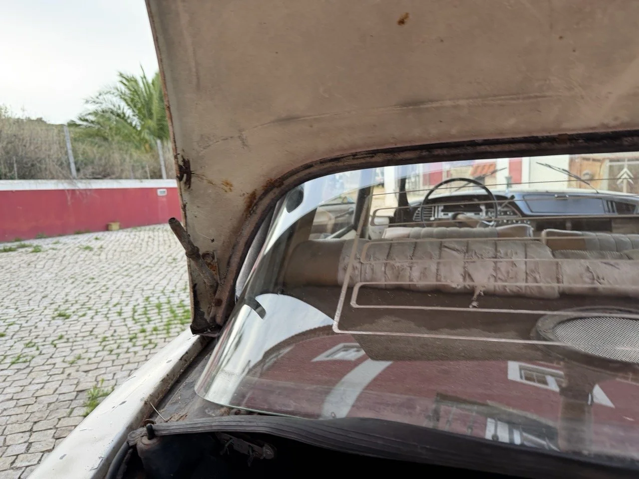 IMG_5953 2 – grande.jpeg