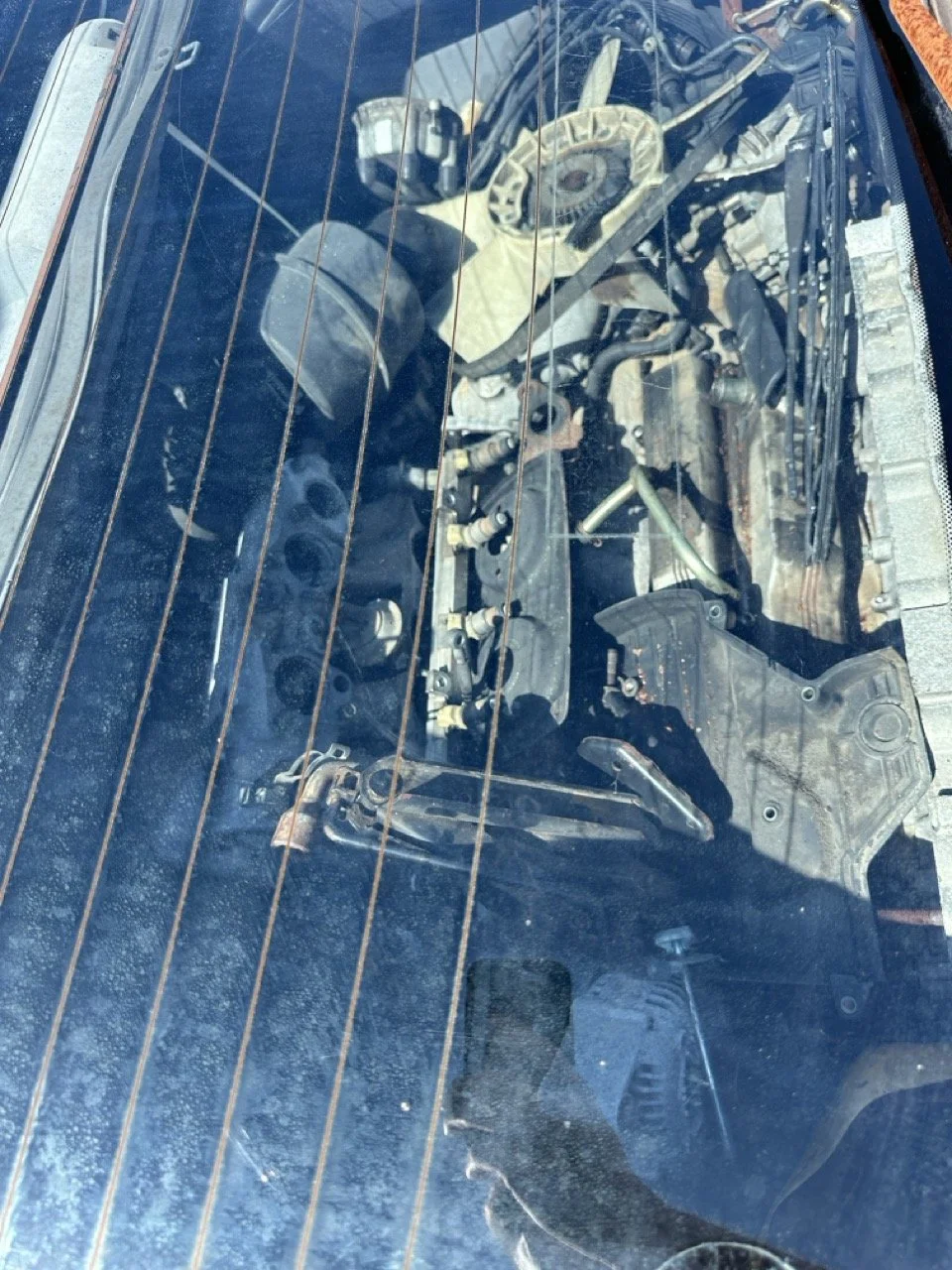 IMG_3087 – grande.jpeg