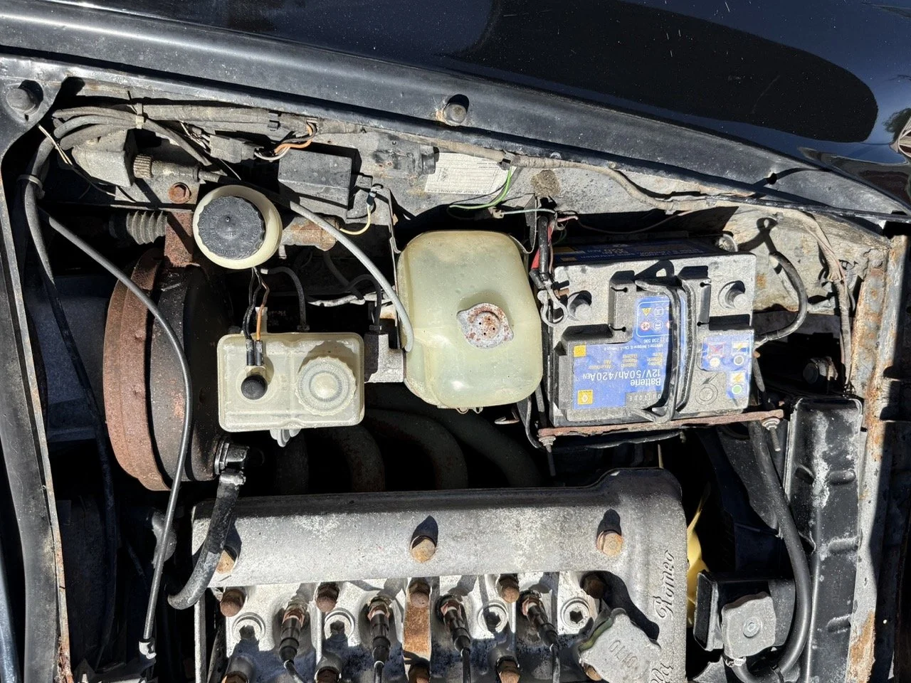 IMG_2218 – grande.jpeg