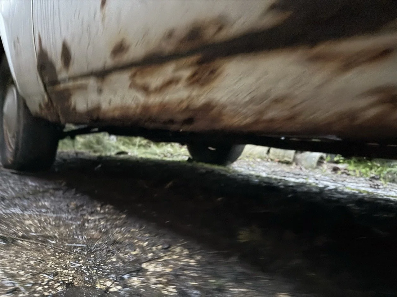 IMG_0186 – grande.jpeg