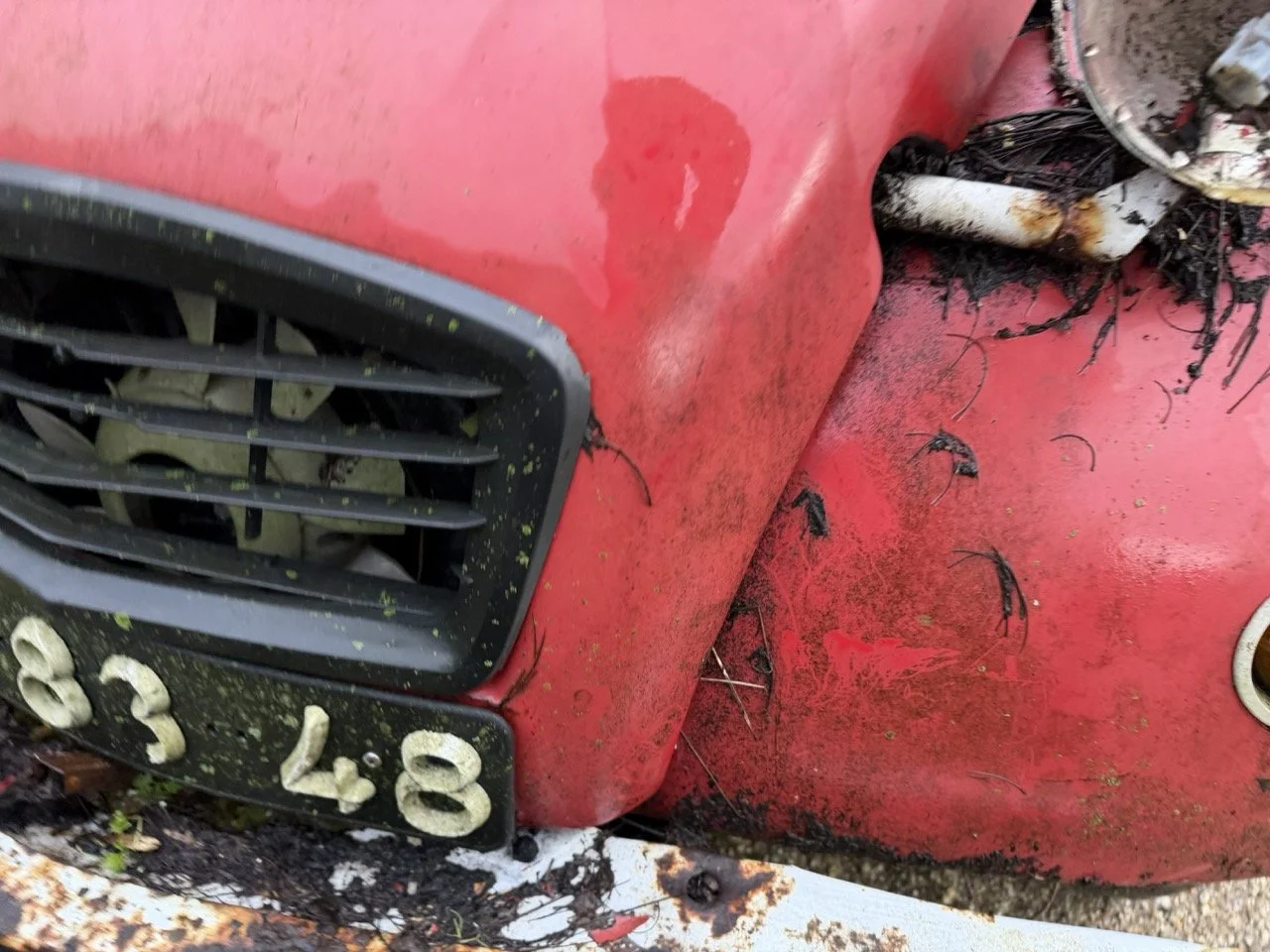 IMG_5494 – grande.jpeg