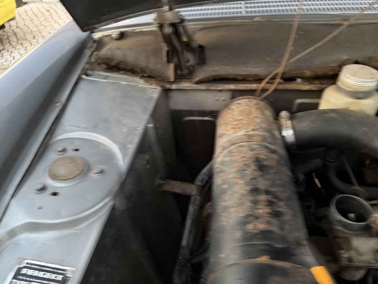 IMG_7520 – grande.jpeg