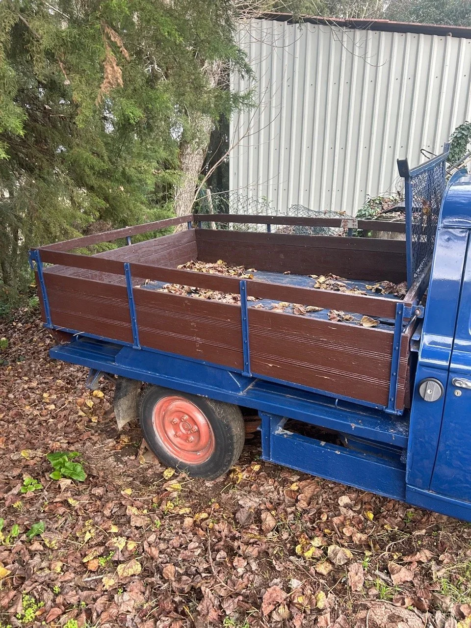 32619b5b-680d-4996-bb28-dcb8dfc7da14 – grande.jpeg