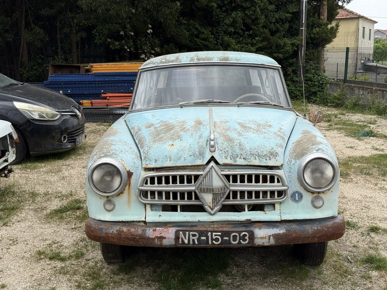 IMG_1347 – grande.jpeg