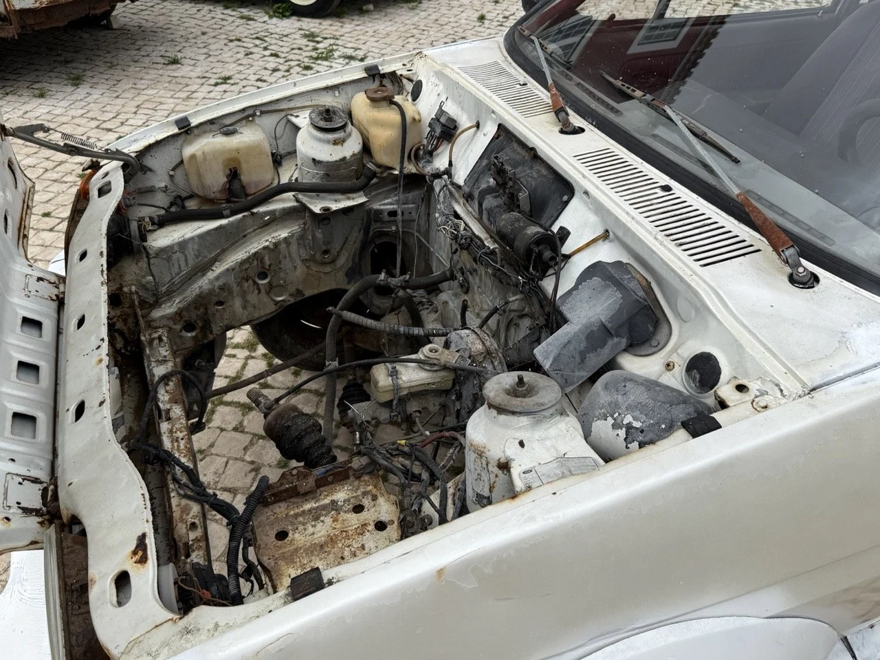 IMG_8543 – grande.jpeg