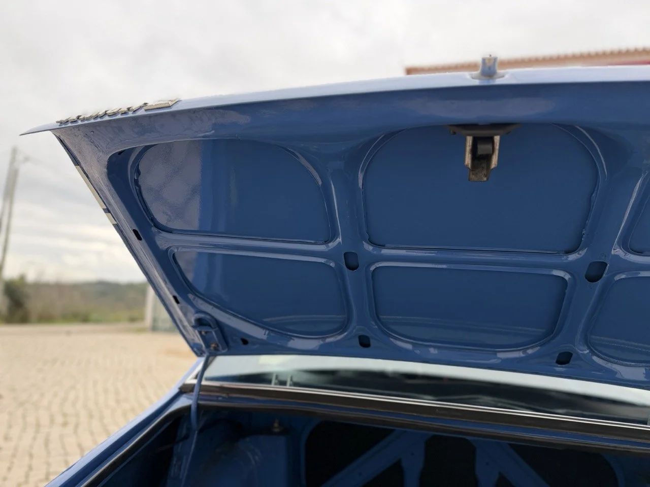 IMG_6059 – grande.jpeg