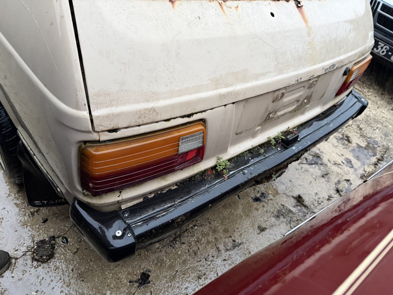 IMG_0195 – grande.jpeg