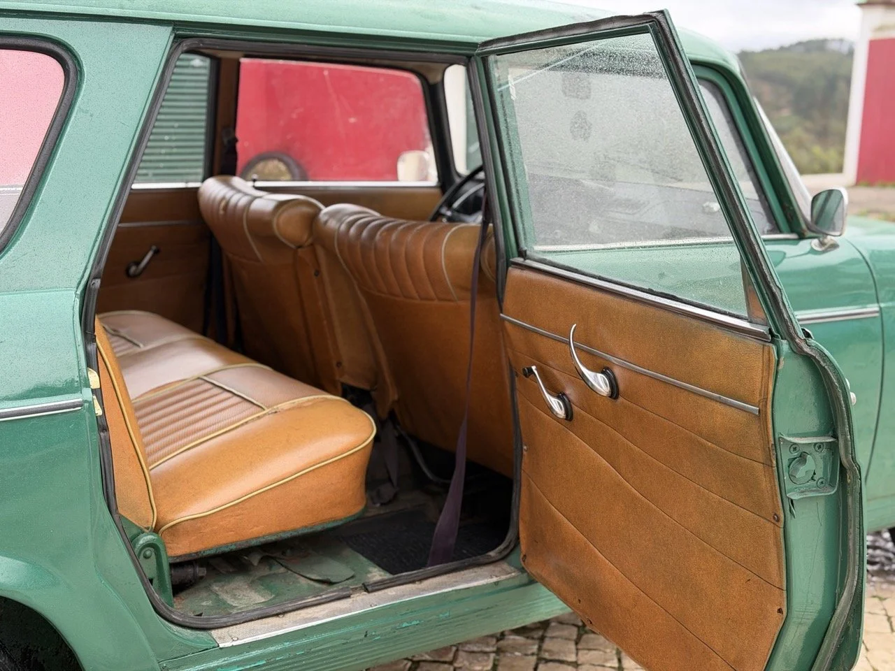 IMG_4521 – grande.jpeg