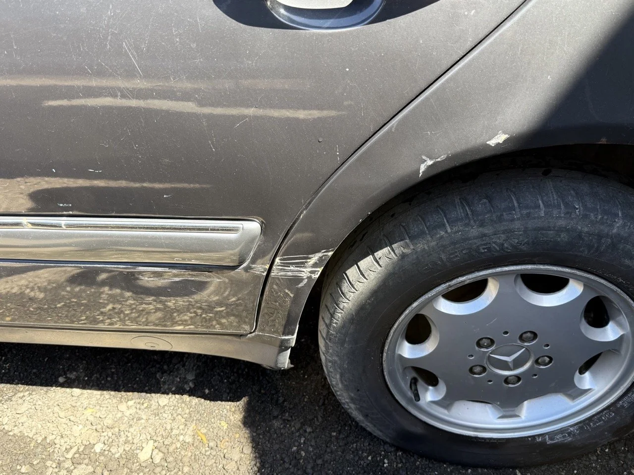 IMG_1790 – grande.jpeg