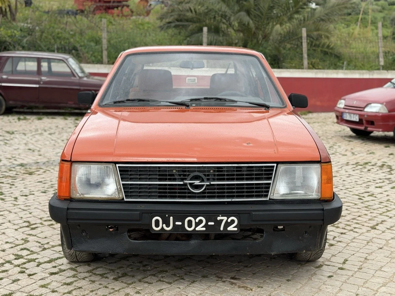 IMG_0205 – grande.jpeg