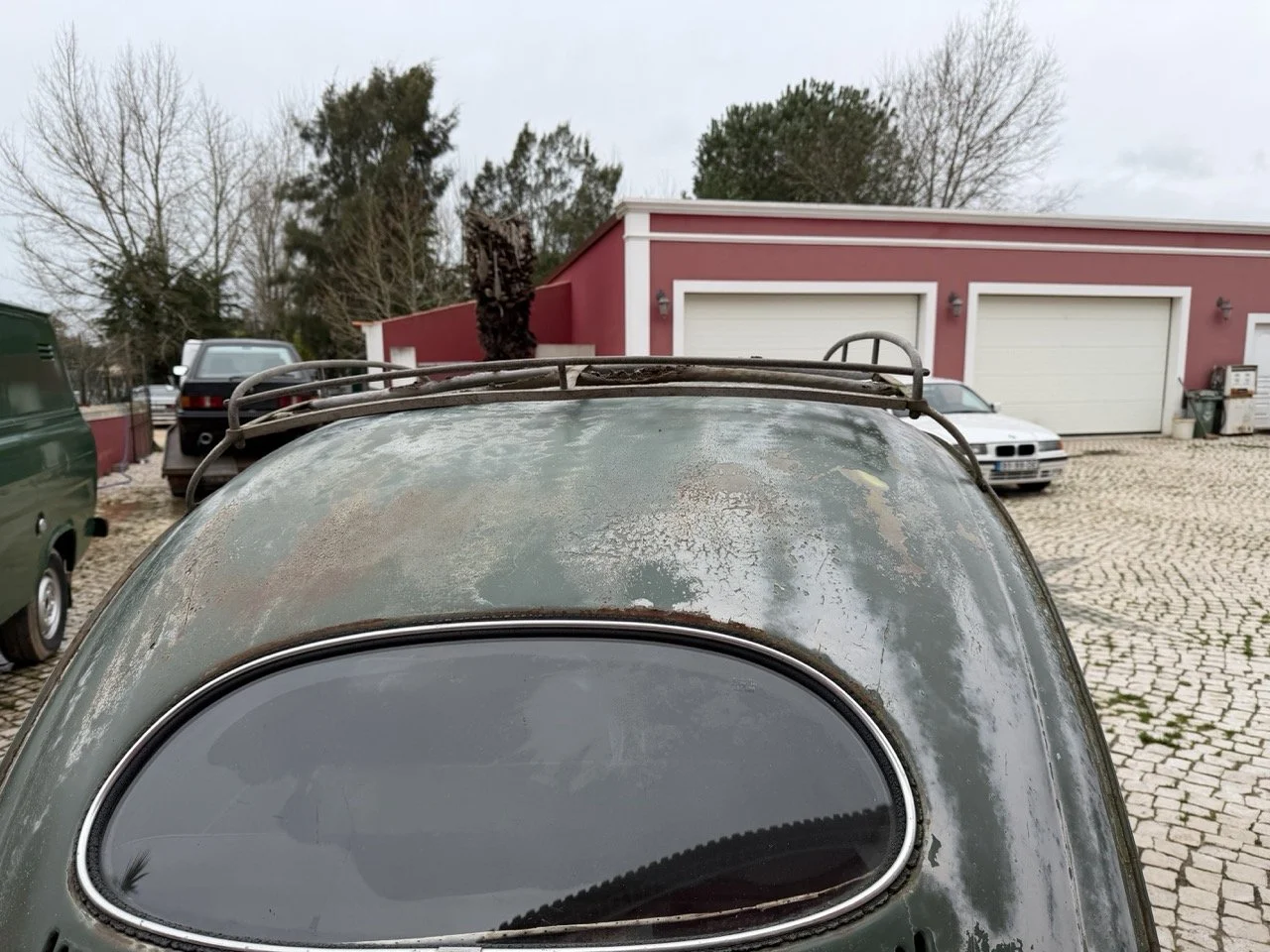 IMG_1221 – grande.jpeg