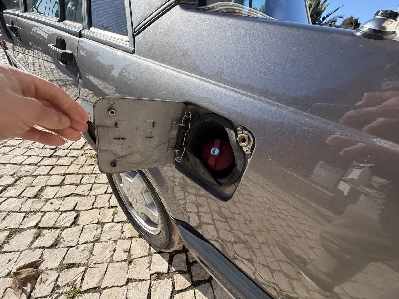 IMG_2052 – grande.jpeg