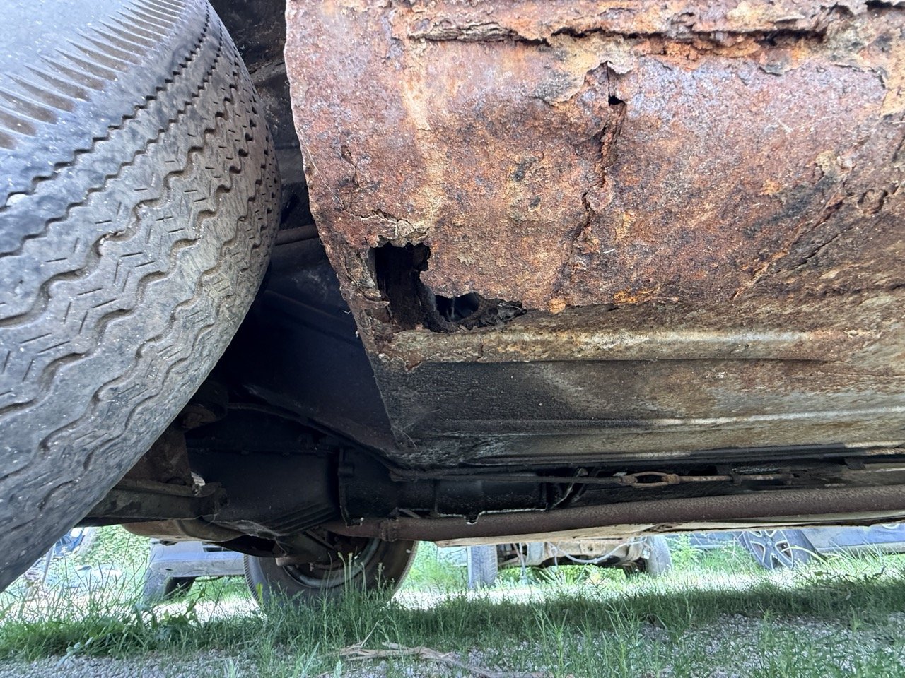 IMG_1433 – grande.jpeg