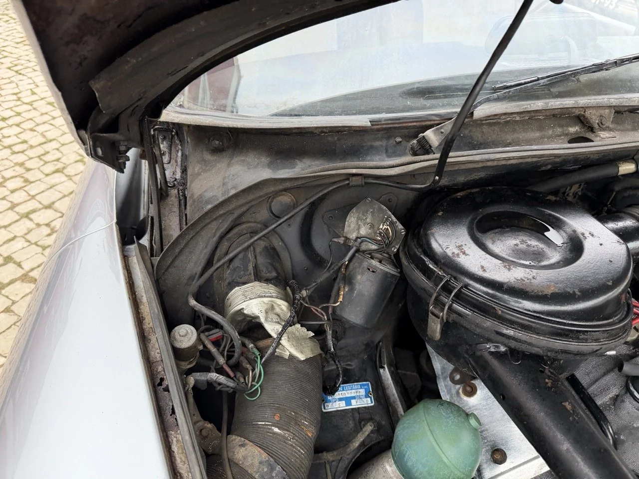 IMG_3736 – grande.jpeg