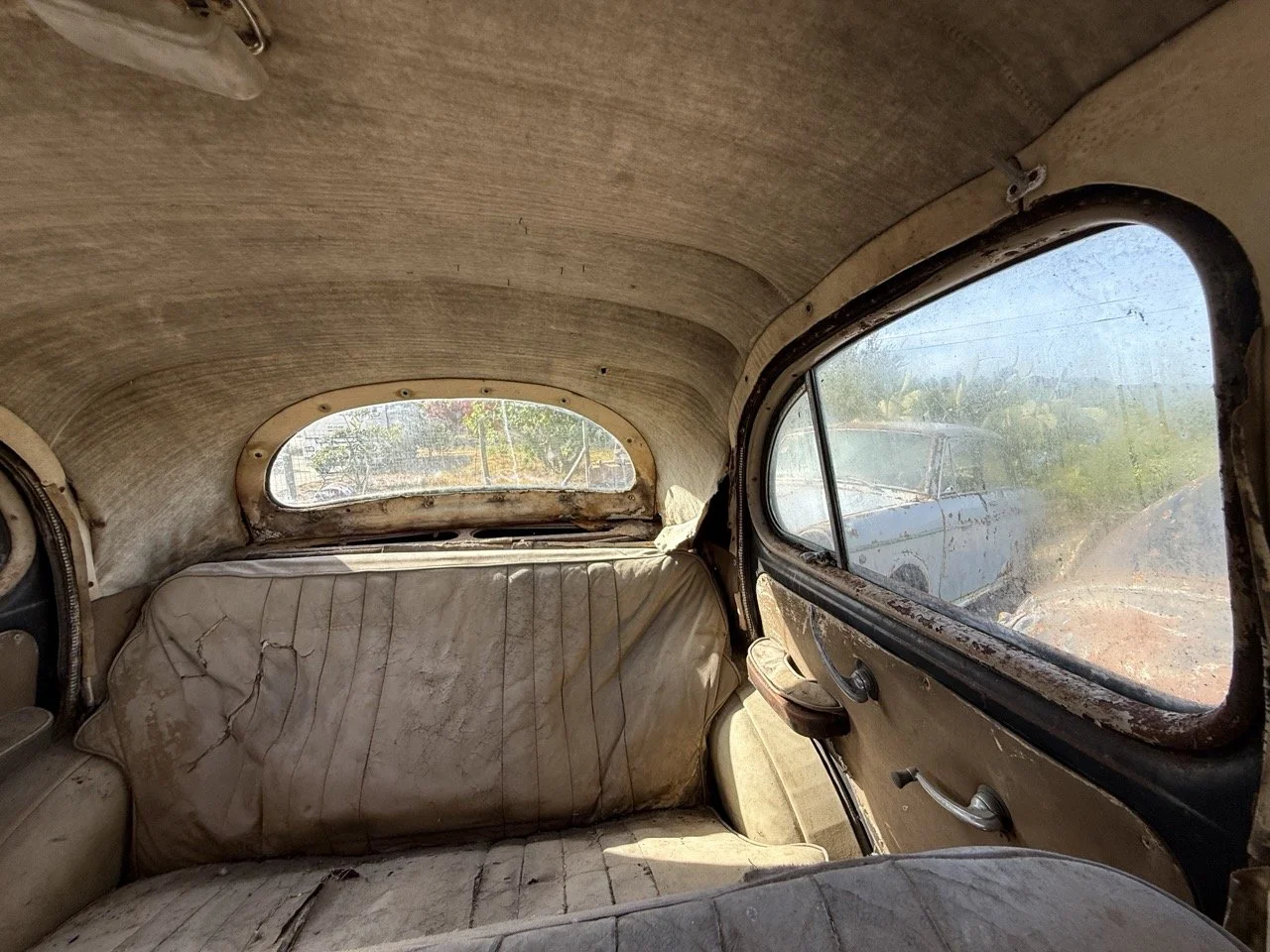 IMG_0467 – grande.jpeg