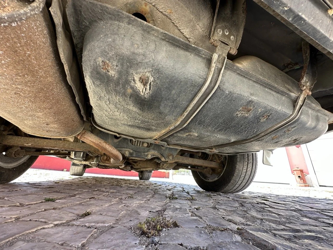 IMG_3131 – grande.jpeg