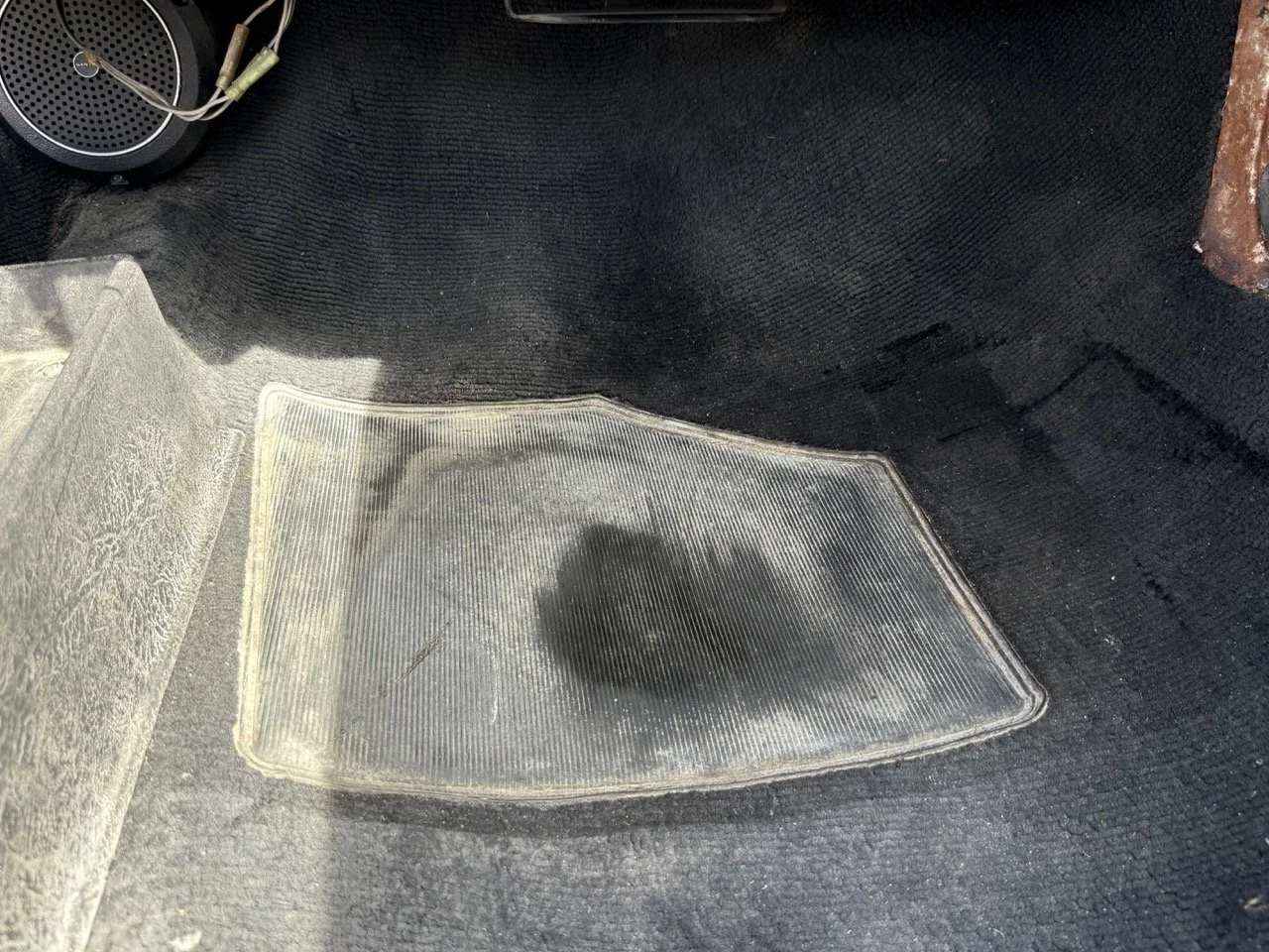 IMG_2375 – grande.jpeg